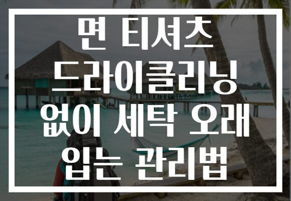 면 티셔츠 드라이클리닝 없이 세탁 오래 입는 관리법