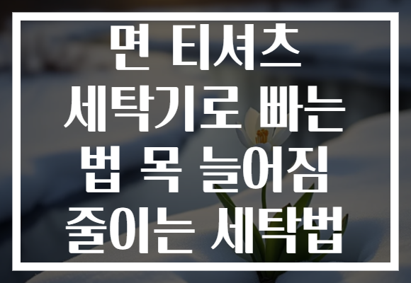 면 티셔츠 세탁기로 빠는 법 목 늘어짐 줄이는 세탁법