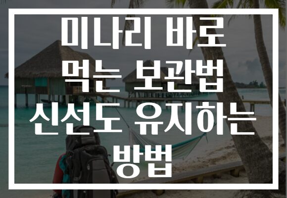 미나리 바로 먹는 보관법 신선도 유지하는 방법