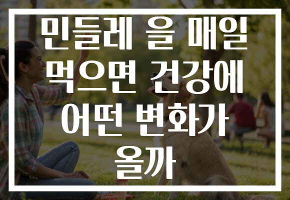 민들레 을 매일 먹으면 건강에 어떤 변화가 올까