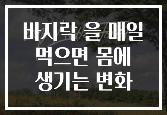 바지락 을 매일 먹으면 몸에 생기는 변화