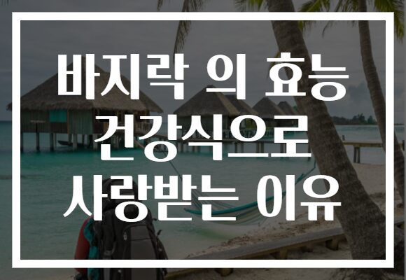 바지락 의 효능 건강식으로 사랑받는 이유