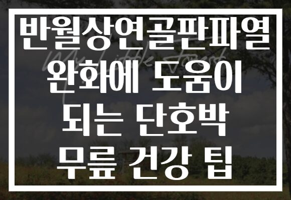 반월상연골판파열 완화에 도움이 되는 단호박 무릎 건강 팁