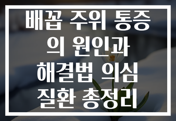 배꼽 주위 통증 의 원인과 해결법 의심 질환 총정리