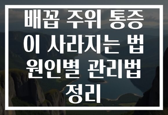 배꼽 주위 통증 이 사라지는 법 원인별 관리법 정리