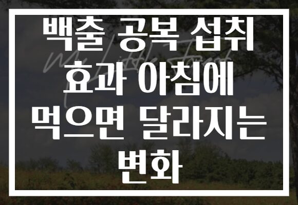 백출 공복 섭취 효과 아침에 먹으면 달라지는 변화