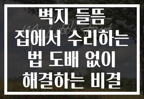 벽지 들뜸 집에서 수리하는 법 도배 없이 해결하는 비결