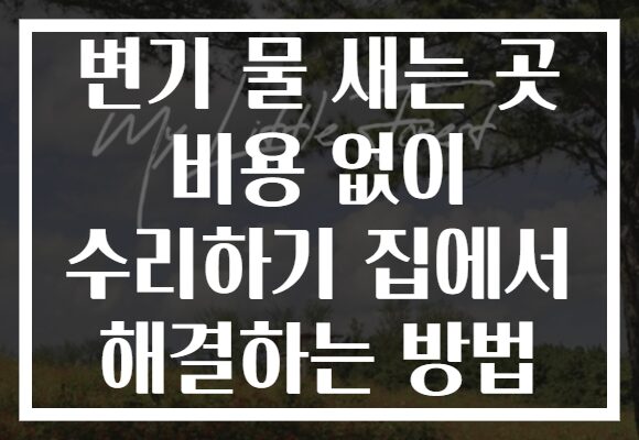 변기 물 새는 곳 비용 없이 수리하기 집에서 해결하는 방법