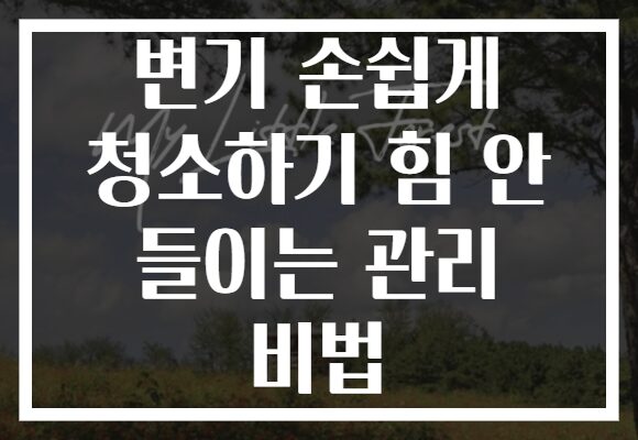 변기 손쉽게 청소하기 힘 안 들이는 관리 비법