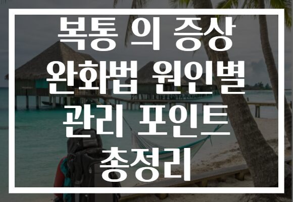 복통 의 증상 완화법 원인별 관리 포인트 총정리