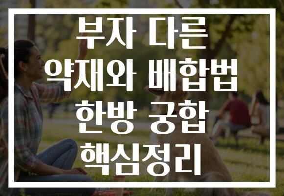 부자 다른 약재와 배합법 한방 궁합 핵심정리