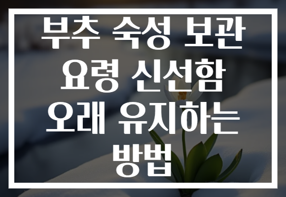 부추 숙성 보관 요령 신선함 오래 유지하는 방법