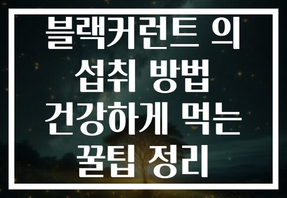 블랙커런트 의 섭취 방법 건강하게 먹는 꿀팁 정리