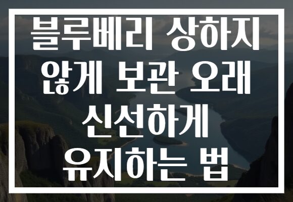 블루베리 상하지 않게 보관 오래 신선하게 유지하는 법