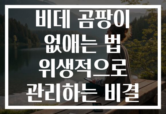 비데 곰팡이 없애는 법 위생적으로 관리하는 비결