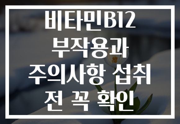 비타민B12 부작용과 주의사항 섭취 전 꼭 확인