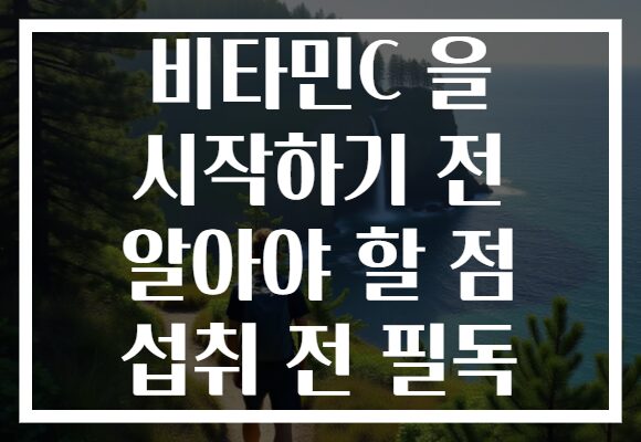 비타민C 을 시작하기 전 알아야 할 점 섭취 전 필독