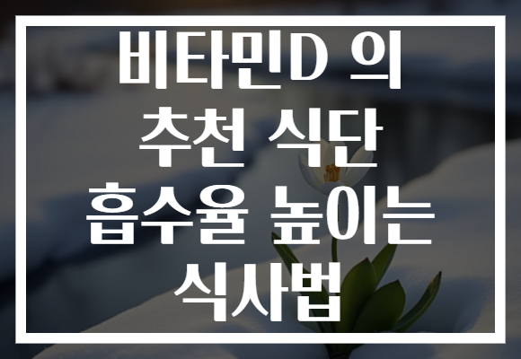 비타민D 의 추천 식단 흡수율 높이는 식사법