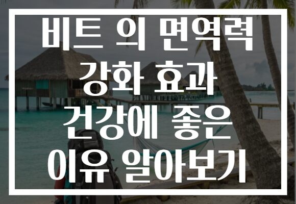 비트 의 면역력 강화 효과 건강에 좋은 이유 알아보기