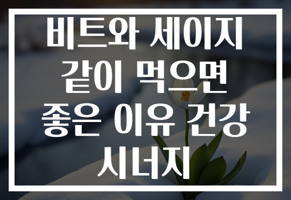 비트와 세이지 같이 먹으면 좋은 이유 건강 시너지