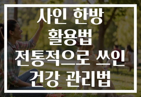 사인 한방 활용법 전통적으로 쓰인 건강 관리법