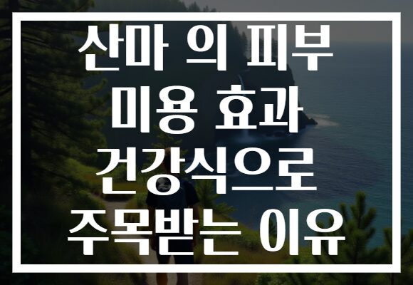 산마 의 피부 미용 효과 건강식으로 주목받는 이유