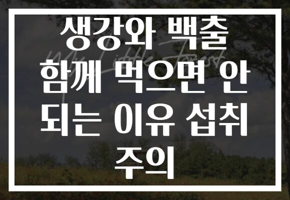 생강와 백출 함께 먹으면 안 되는 이유 섭취 주의