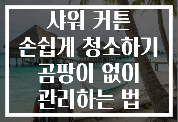 샤워 커튼 손쉽게 청소하기 곰팡이 없이 관리하는 법