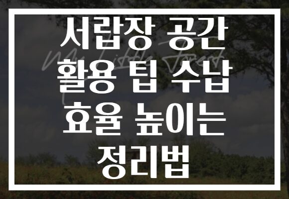 서랍장 공간 활용 팁 수납 효율 높이는 정리법