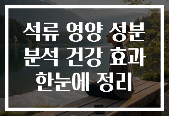 석류 영양 성분 분석 건강 효과 한눈에 정리