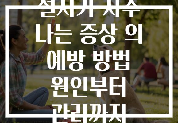 설사가 자주 나는 증상 의 예방 방법 원인부터 관리까지