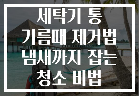 세탁기 통 기름때 제거법 냄새까지 잡는 청소 비법