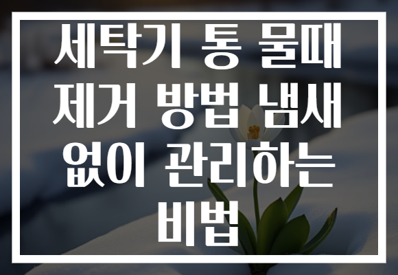 세탁기 통 물때 제거 방법 냄새 없이 관리하는 비법