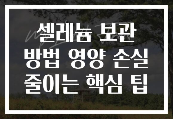 셀레늄 보관 방법 영양 손실 줄이는 핵심 팁