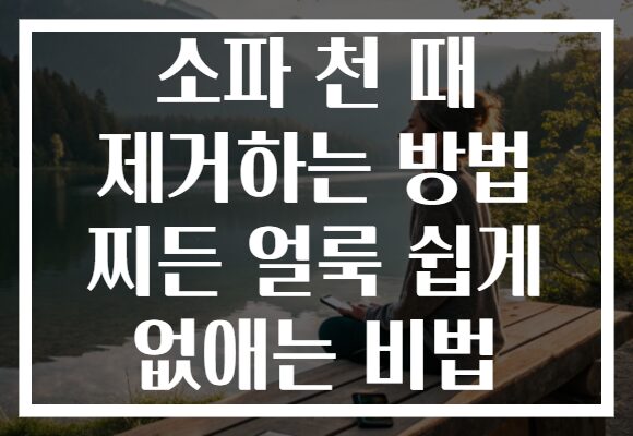 소파 천 때 제거하는 방법 찌든 얼룩 쉽게 없애는 비법
