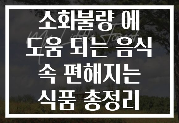 소화불량 에 도움 되는 음식 속 편해지는 식품 총정리