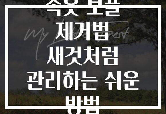 속옷 보풀 제거법 새것처럼 관리하는 쉬운 방법