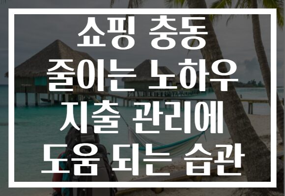 쇼핑 충동 줄이는 노하우 지출 관리에 도움 되는 습관