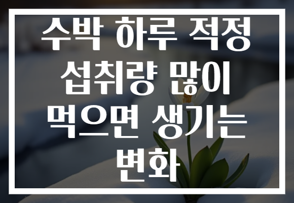 수박 하루 적정 섭취량 많이 먹으면 생기는 변화