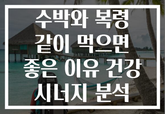 수박와 복령 같이 먹으면 좋은 이유 건강 시너지 분석
