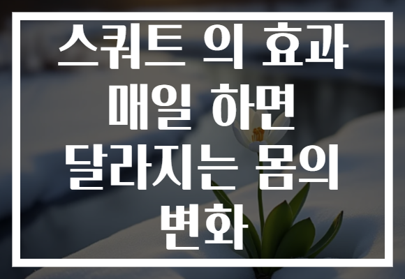 스쿼트 의 효과 매일 하면 달라지는 몸의 변화