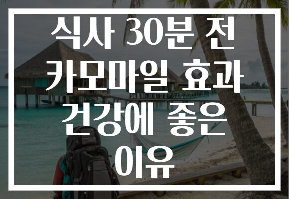 식사 30분 전 카모마일 효과 건강에 좋은 이유