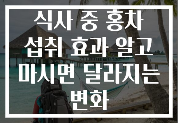 식사 중 홍차 섭취 효과 알고 마시면 달라지는 변화