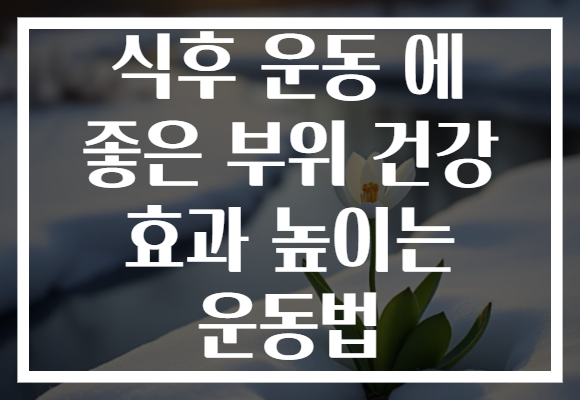 식후 운동 에 좋은 부위 건강 효과 높이는 운동법
