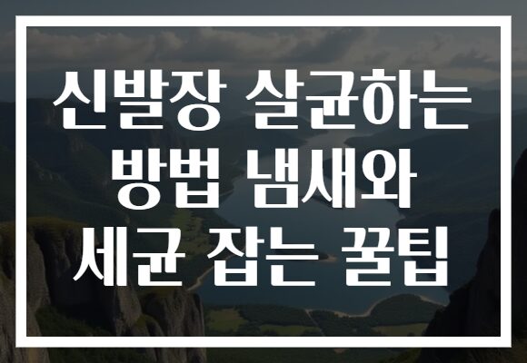 신발장 살균하는 방법 냄새와 세균 잡는 꿀팁