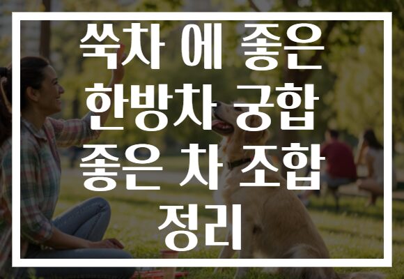 쑥차 에 좋은 한방차 궁합 좋은 차 조합 정리
