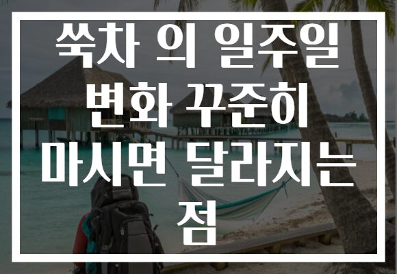 쑥차 의 일주일 변화 꾸준히 마시면 달라지는 점