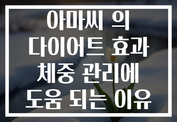 아마씨 의 다이어트 효과 체중 관리에 도움 되는 이유