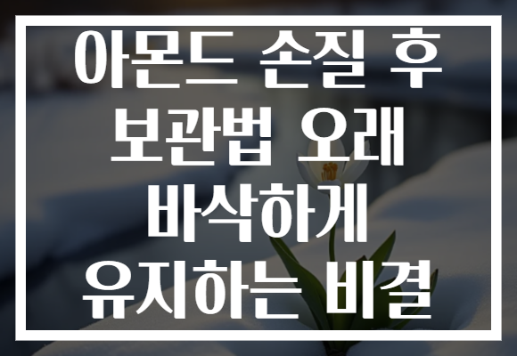 아몬드 손질 후 보관법 오래 바삭하게 유지하는 비결