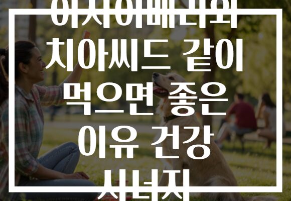 아사이베리와 치아씨드 같이 먹으면 좋은 이유 건강 시너지